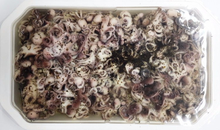 PETITS POULPES ASSAISONNES (Moscardini) 2 kg