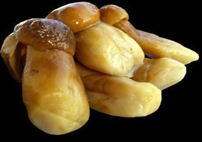 CHAMPIGNONS CÈPES EXTRA 2 kg 