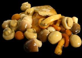 CHAMPIGNONS MÉLANGE FORESTIER 2 kg Turchet 