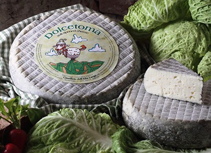 DOLCE TOMA 1.5 kg/env.
