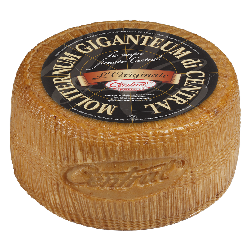 MOLITERNO GEANT 10 kg/env.