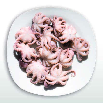 PETITS POULPES ASSAISONNES (Moscardini) 4 kg 