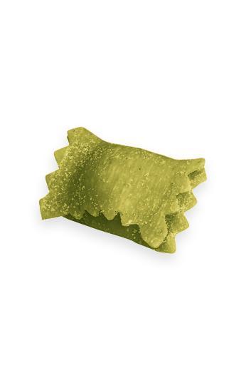 RAVIOLINO AU BASILIC 