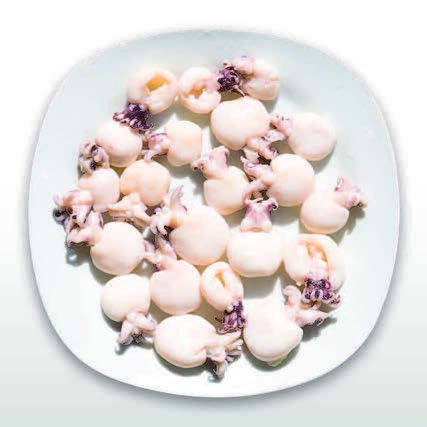 PETITES SEICHES MARINÉES 2 kg 