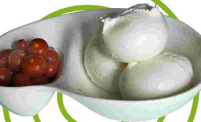 MOZZARELLA FLEUR DE LAIT 100 gr Voglia di Latte